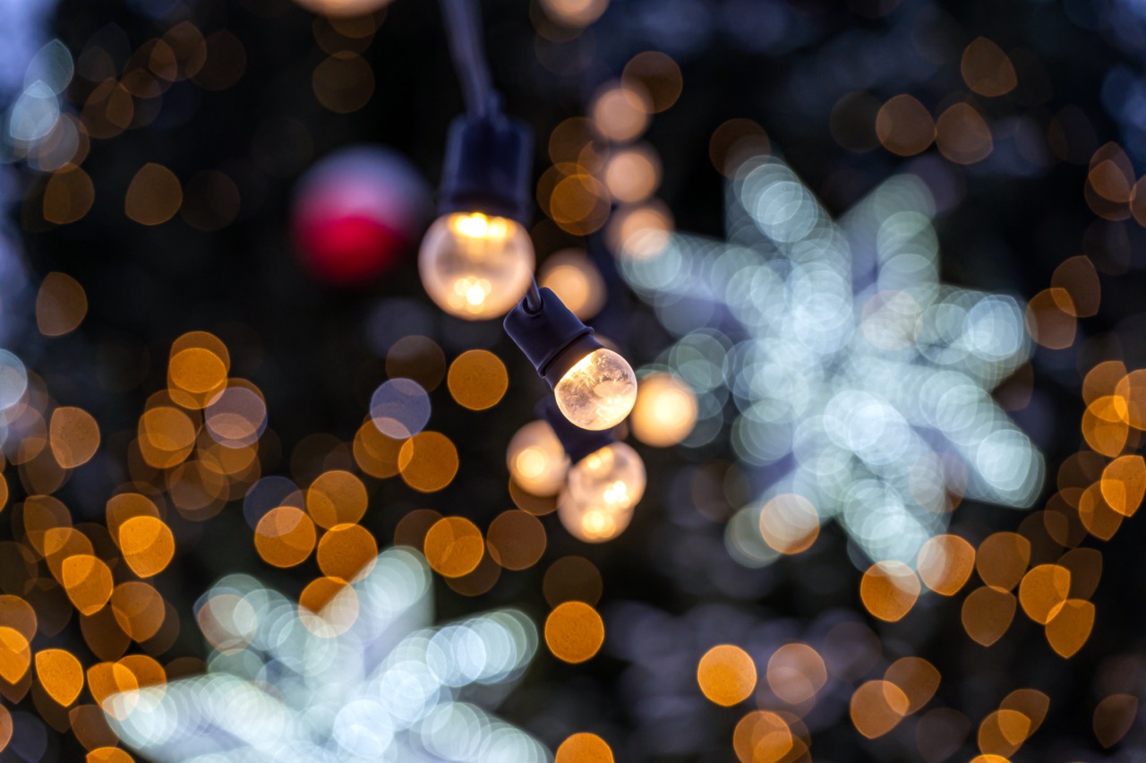 Holiday Lights Tours